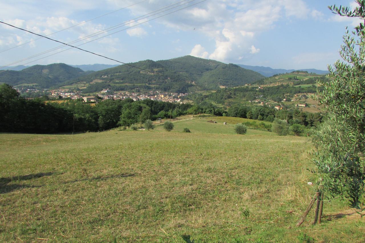 Trebbiolo Villa Dicomano ภายนอก รูปภาพ