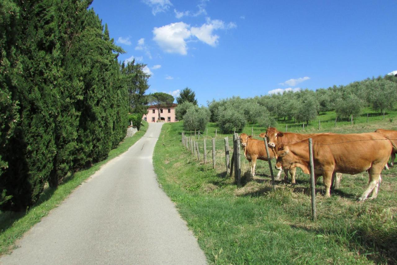 Trebbiolo Villa Dicomano ภายนอก รูปภาพ