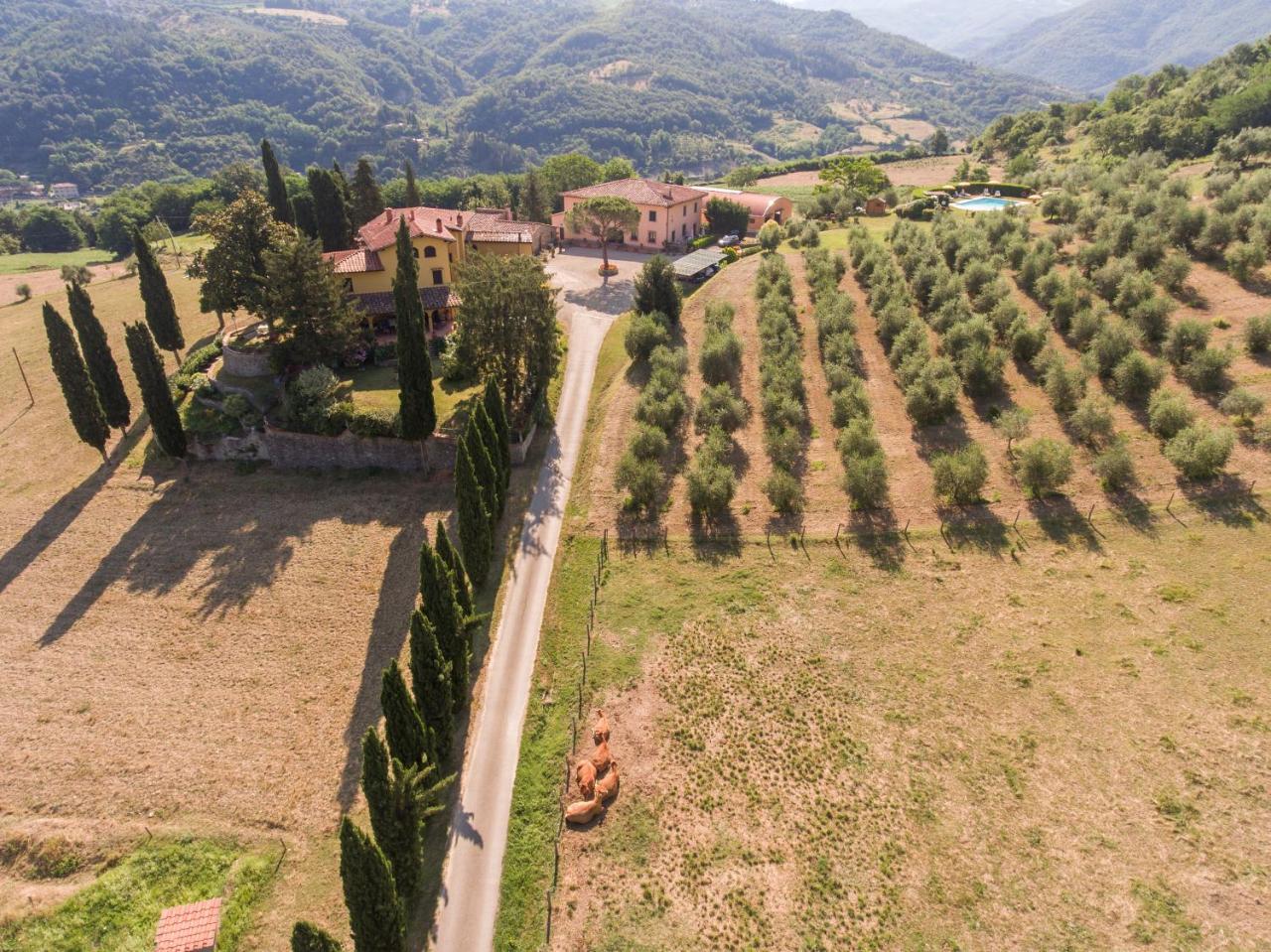 Trebbiolo Villa Dicomano ภายนอก รูปภาพ